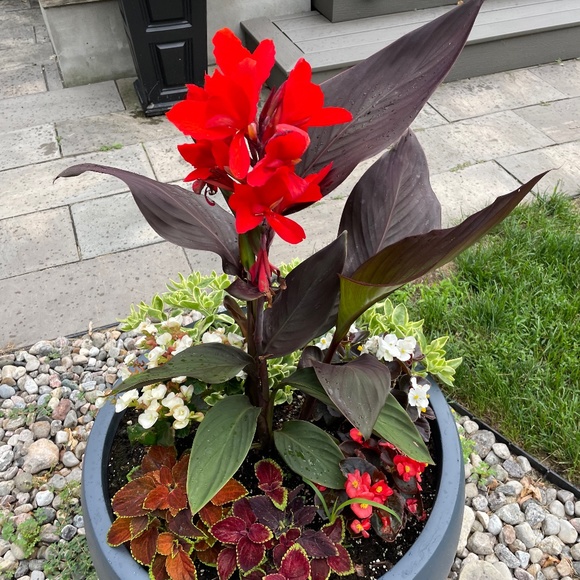 Meet your Posher, Michal - Picture 1 of 1